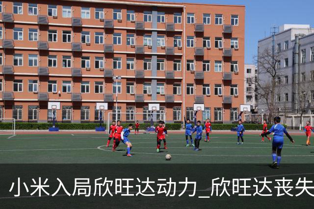 小米入局欣旺达动力 欣旺达丧失控制权