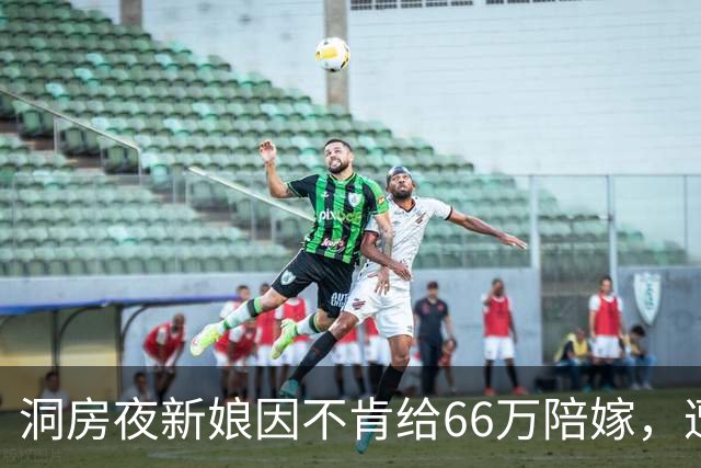 洞房夜新娘因不肯给66万陪嫁，遭婆婆两巴掌，次日婆婆一家惊呆了
